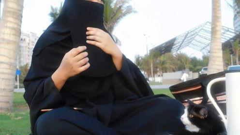 娱乐吃瓜君青春,青春岁月里的八卦风云